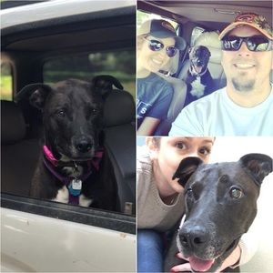 Meet your Posher, Matthew